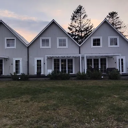 Nad Morzem Babki Z Piasku