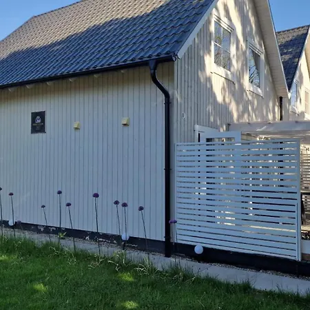 Nad Morzem Babki Z Piasku