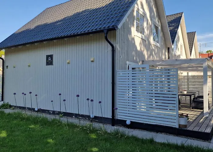 Nad Morzem Babki Z Piasku