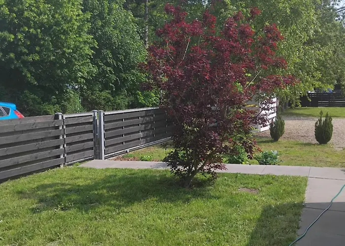 Nad Morzem Babki Z Piasku Chata